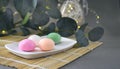 Colorful japanese dessert mochi with eucalyptus on grey background. Royalty Free Stock Photo