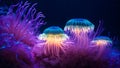 Colorful jellyfish in the deep sea. Underwater world. Generative Ai.
