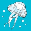 Colorful jellyfish. Hand drawn vector illustration on blue water background. Medusa with bubbles design for cards, print, Royalty Free Stock Photo