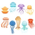 Colorful jellyfish set, swimming marine creatures watercolor vector Illustrations