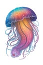 colorful jellyfish on a white background multicolored graphics Royalty Free Stock Photo