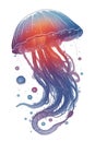 colorful jellyfish on a white background multicolored graphics Royalty Free Stock Photo