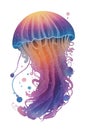 colorful jellyfish on a white background multicolored graphics Royalty Free Stock Photo