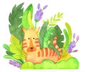 Cute tiger cub in the tropics for kindergarten