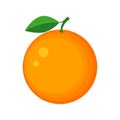 Colorful juicy orange fruit vector illustration isolated on whit Royalty Free Stock Photo