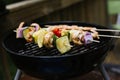 Colorful Kabobs On The Grill Royalty Free Stock Photo