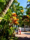 Colorful Keywest