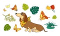 Colorful kids Christmas holiday sticker pack with cheerful dog, plants, flowers and butterflies isolated on white background. Pets