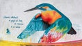 Colorful kingfisher urban art