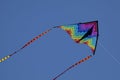 Colorful Kite flying