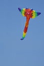 Colorful Kite flying