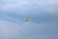 A kite in the stormy sky