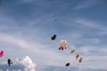 Colorful Kites in the Air