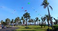 Colorful Kites During Beach Festival