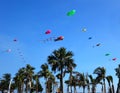 Colorful Kites During Beach Festival