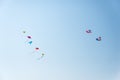 Colorful kites on blue sky.