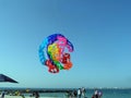Beach kite competition.