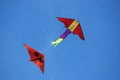 Colorful kites flying
