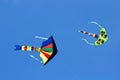 Colorful kites flying Royalty Free Stock Photo