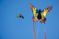 Colorful kites in the sky