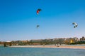 Colorful kites soaring over the Red sea shoreline.