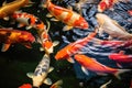 Colorful koi fish swim gracefully in a serene pond, showcasing the beauty of aquatic life., River pond decorative orange