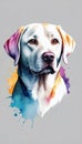 Colorful Labrador Retriever dog illustration on watercolor splash isolated on white background Royalty Free Stock Photo