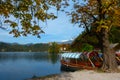 Colorful Lake Bled rowboats in autumn Royalty Free Stock Photo