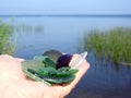 Colorful lake glass in woman hand, Lithuania Royalty Free Stock Photo