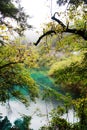 Colorful lake in Jiuzhai Valley Royalty Free Stock Photo