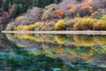 Colorful lake in Jiuzhaigou Royalty Free Stock Photo