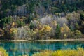 Colorful lake in Jiuzhaigou Royalty Free Stock Photo