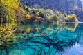 Colorful lake in Jiuzhaigou Royalty Free Stock Photo
