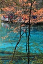 Reflection, water, nature, tree, woody, plant, leaf, body, of, branch, lake, river, autumn, pond, bank, sky, wetland, spring, land