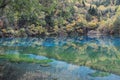 Reflection, water, nature, body, of, reserve, leaf, tree, lake, river, wetland, resources, pond, bank, reservoir, biome, landscape