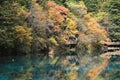 Reflection, water, nature, leaf, body, of, tree, autumn, reserve, vegetation, lake, wilderness, pond, temperate, broadleaf, and, m