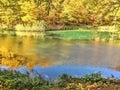 Colorful lake surrounded with colored trees of autumn nature