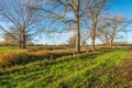 Colorful landscape in autumn with bare trees Royalty Free Stock Photo