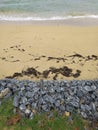 A colorful landscape of beach, rocks and grass. Un paisaje colorido de playa, rocas y cÃÂ©sped Royalty Free Stock Photo