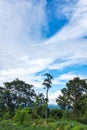 Colorful landscape of beautiful nature against blue sky and cloudy over tranquil nature.