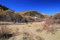 Nature, wilderness, sky, tree, mountainous, landforms, mountain, leaf, plant, path, autumn, landscape, hill, trail, grassland, shr Royalty Free Stock Photo