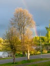 Colorful landscape with colorful trees in the evening light, a small village view of the street Royalty Free Stock Photo