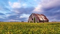 Landscape with dilapidated barn Royalty Free Stock Photo