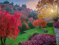 Colorful landscape with enchanted trees with orange and red leaves