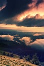 Vertical foggy mountains landscape, meadow in the morning fog on background valley in fog and sunrise mountains, vertical nature