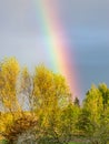 Colorful landscape with a rainbow over the trees, a small village view Royalty Free Stock Photo