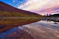 Colorful landscape scenery of Pentland hills slope covered by vi Royalty Free Stock Photo