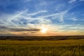 Colorful landscape of sunset in farmland. Freedom sensation