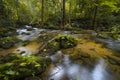 Colorful landscape with trees stones waterfall