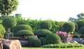 Colorful landscaped formal garden